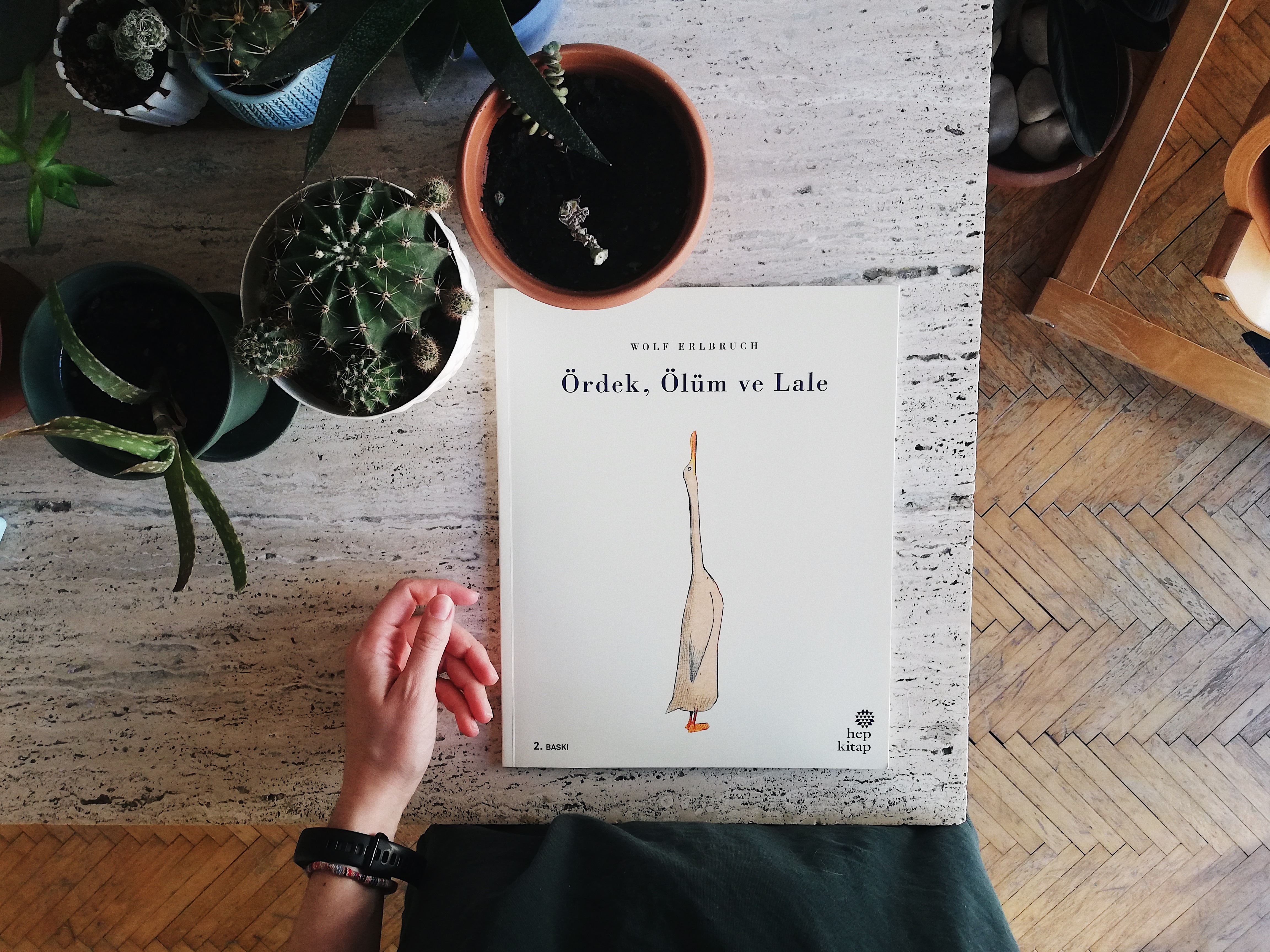 Resimli kitaplar: Ördek, Ölüm ve Lale | Kaos GL - LGBTİ+ Haber Portalı Gökkuşağı Forumu Köşe Yazısı