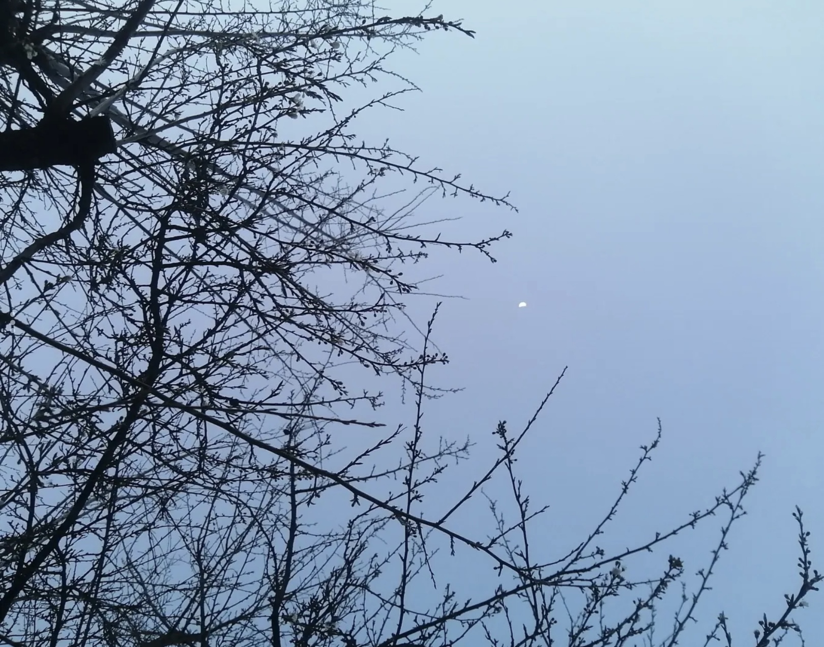 Sıçtın mavisi | Kaos GL - LGBTİ+ Haber Portalı Gökkuşağı Forumu Köşe Yazısı