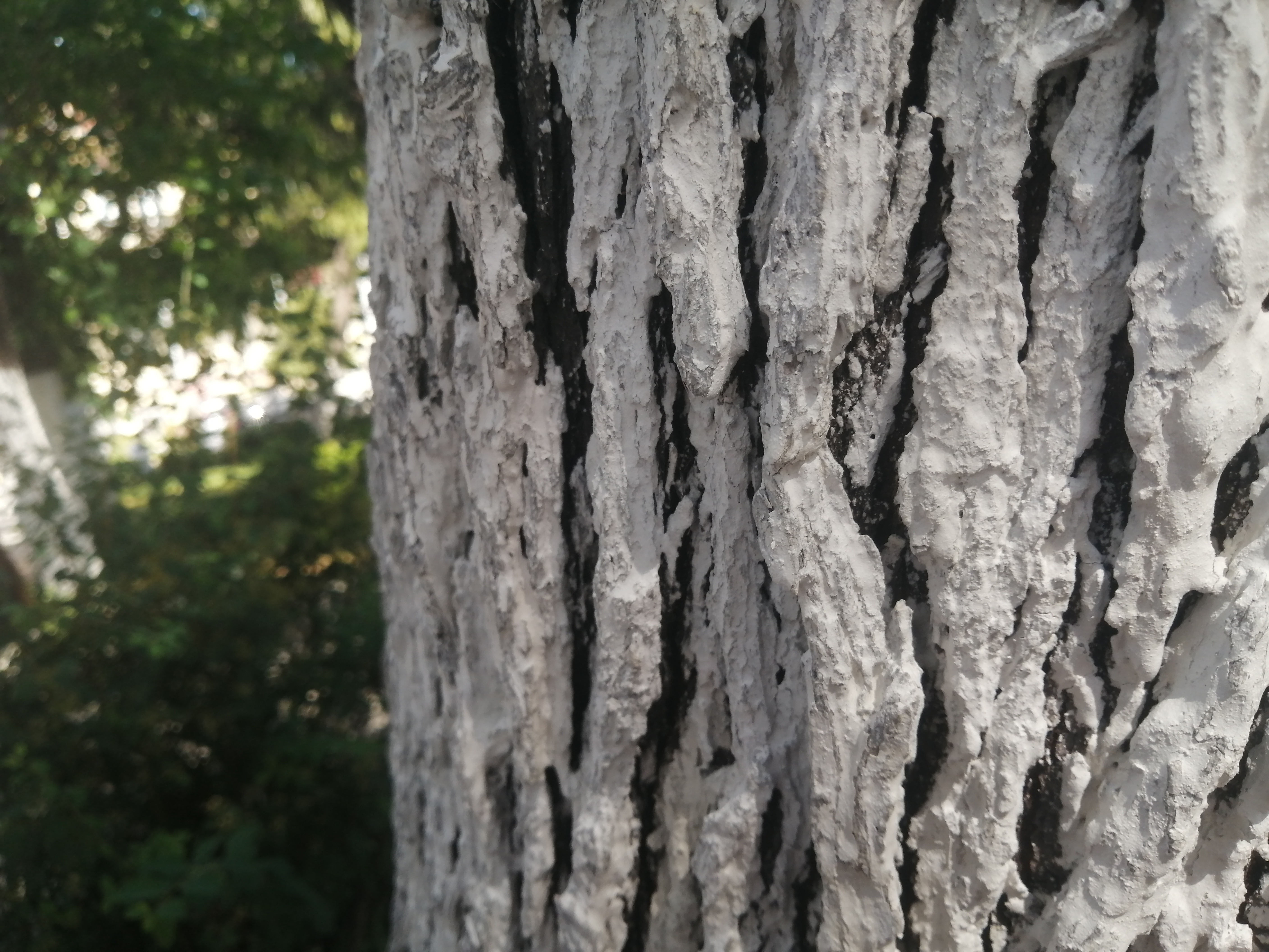 Umut, küf, kireç Kaos GL - LGBTİ+ Haber Portalı