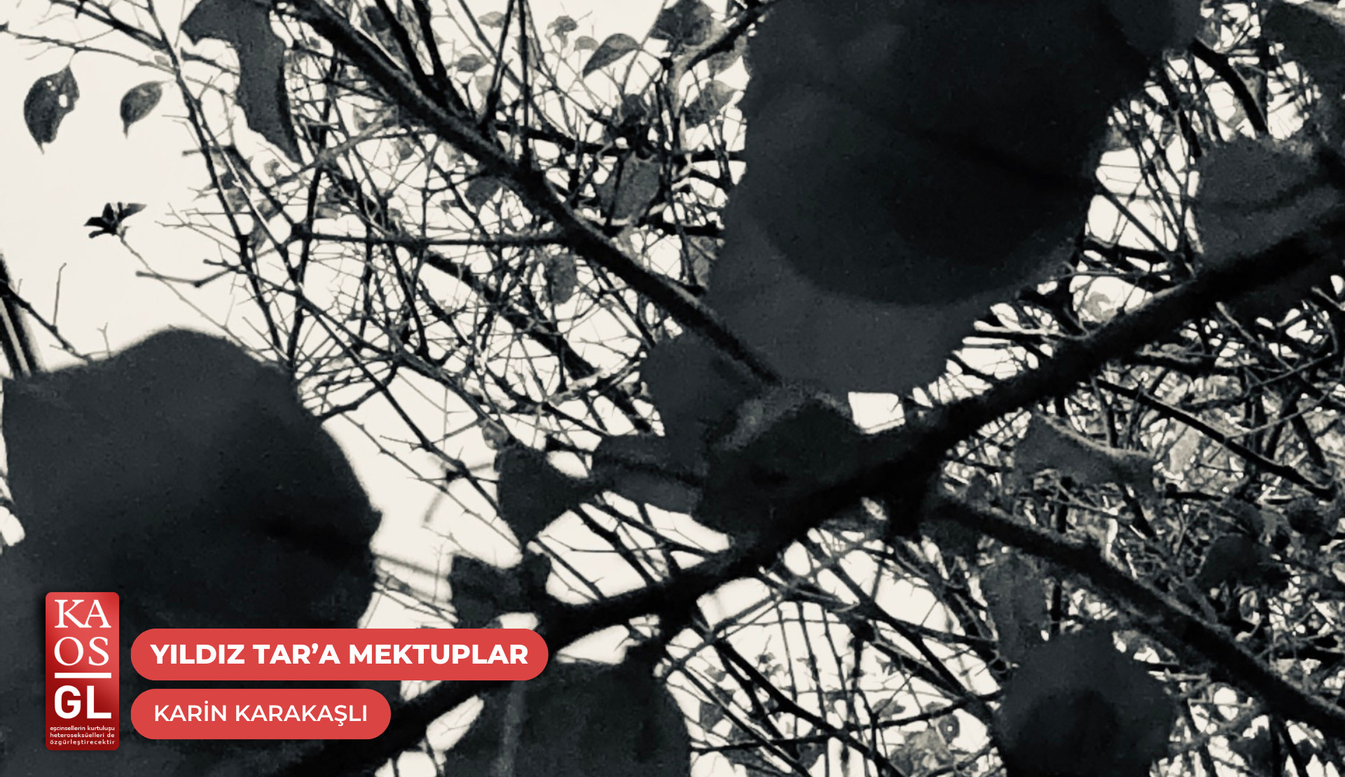 Yıldız Tar’a mektuplar: “Canım Pulsar…” | Kaos GL - LGBTİ+ Haber Portalı Gökkuşağı Forumu Köşe Yazısı