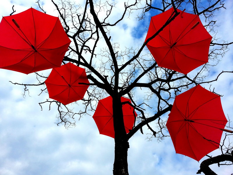 Genelev çalışanlarına emeklilik hakkı Kaos GL - LGBTİ+ Haber Portalı