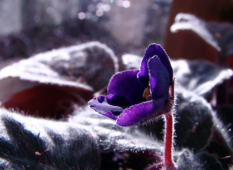 Uyanış | Kaos GL - LGBTİ+ Haber Portalı Haber