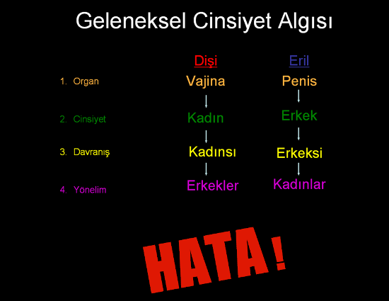 Kadından Erkeğe Transların Bilgi Bankası: Sick-o | Kaos GL - LGBTİ+ Haber Portalı Haber