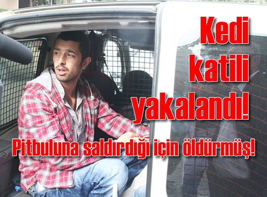 Kedi Katili Öğrenciye Üniversitesinden İşlem Kaos GL - LGBTİ+ Haber Portalı