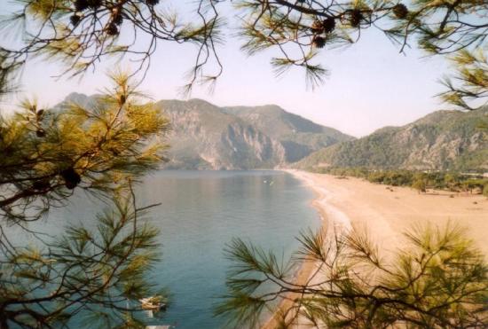 Deniz-Kum-Güneş Hayvan Katliamına Dönüşmesin | Kaos GL - LGBTİ+ Haber Portalı Haber