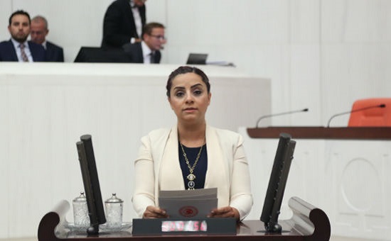 CHP&rsquo;li Selina Doğan&rsquo;dan Alperen Ocakları hakkında suç duyurusu | Kaos GL - LGBTİ+ Haber Portalı Haber