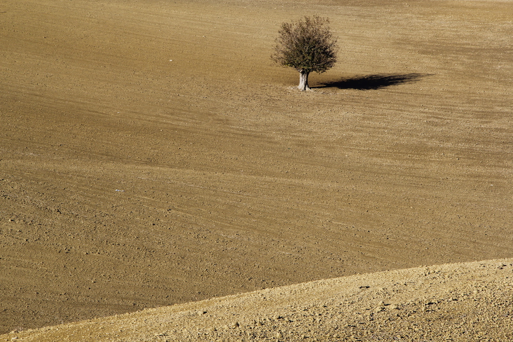 Kaos GL dergisi ‘halimiz, ahvalimize’ odaklandı Kaos GL - LGBTİ+ Haber Portalı