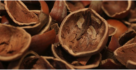 Kabuk | Kaos GL - LGBTİ+ Haber Portalı Haber