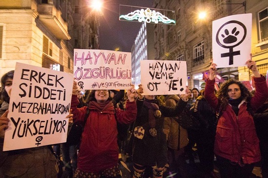 8 Mart’ta vegan feministler de alanlardaydı Kaos GL - LGBTİ+ Haber Portalı