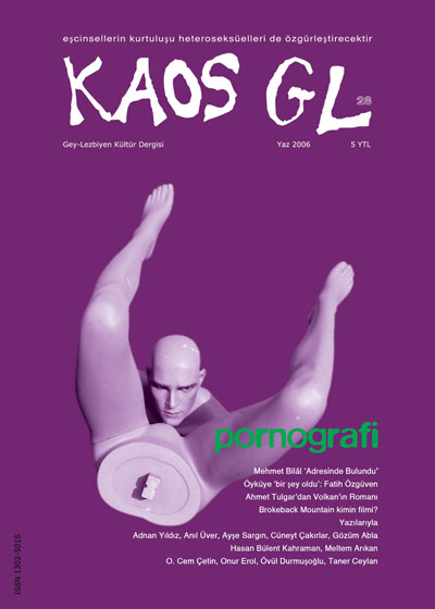 AİHM'deki Kaos GL Dergi Davasına Uluslararası Müdahele Talebi | Kaos GL - LGBTİ+ Haber Portalı Haber