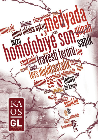 Medyada Homofobiye Son 2010! Yayınlandı Kaos GL - LGBTİ+ Haber Portalı
