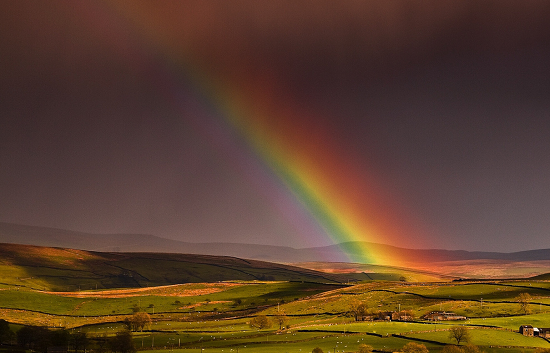 Erik ağacının beyaz çiçekleri gibi Kaos Kültür Merkezi Nisan takvimi! | Kaos GL - LGBTİ+ Haber Portalı Haber