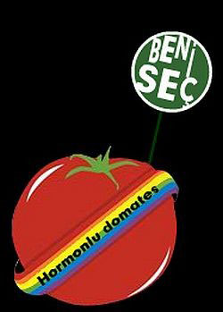 Hormonlu Domates Ödülleri &lsquo;Aday Adayı&rsquo; Başvuruları Başladı | Kaos GL - LGBTİ+ Haber Portalı Haber