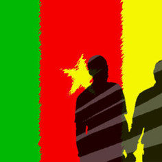 &lsquo;Kamerun eşcinsel ilişkileri suç sayan yasayı gözden geçirmeli&rsquo; | Kaos GL - LGBTİ+ Haber Portalı Haber