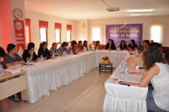 Diyarbakır&rsquo;da Kadın ve Sağlık Çalıştayı Düzenlendi | Kaos GL - LGBTİ+ Haber Portalı Haber