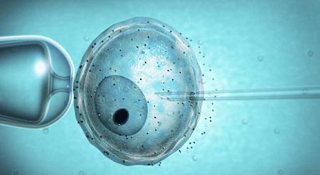 Lezbiyenlere babalık yolu açan yasa İngiltere’yi karıştırdı Kaos GL - LGBTİ+ Haber Portalı