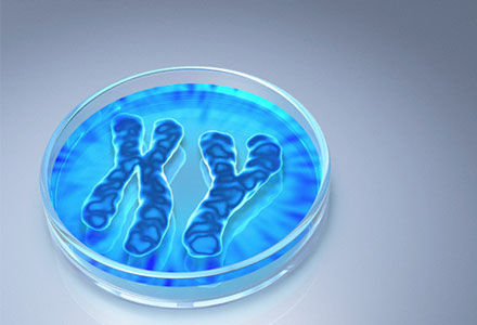 Yeni Bir Cinsiyet Geni Keşfedildi | Kaos GL - LGBTİ+ Haber Portalı Haber