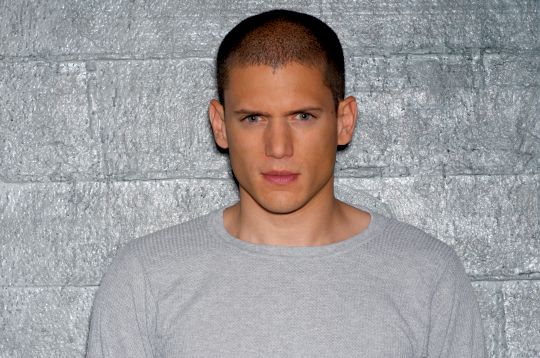 Prison Break Yıldızı Miller: Eşcinselim, Haklarımın Tanınmadığı Bir Ülkeye Gidemem | Kaos GL - LGBTİ+ Haber Portalı Haber