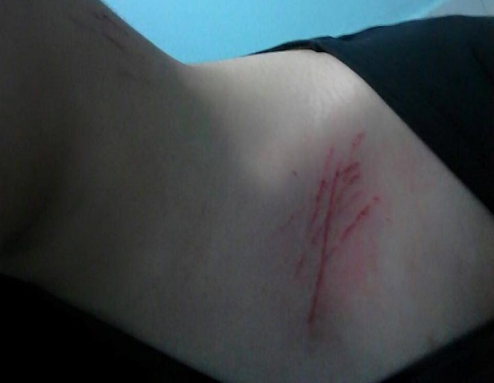 Adana&rsquo;da nefret saldırısı: "Sizi burada yaşatmayacağız!" | Kaos GL - LGBTİ+ Haber Portalı Haber