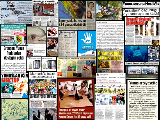 2014 yunus parkı karşıtı eylemlerin yılı oldu | Kaos GL - LGBTİ+ Haber Portalı Haber