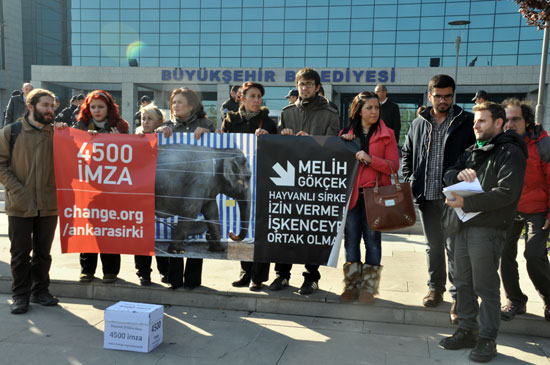 Hayvan Hakları Aktivistleri Ankara Büyükşehir Belediyesi&rsquo;ndeydi | Kaos GL - LGBTİ+ Haber Portalı Haber