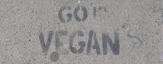 Veganların elindeki sihirli değnek ya da sıkça sorulan sorular | Kaos GL - LGBTİ+ Haber Portalı Haber