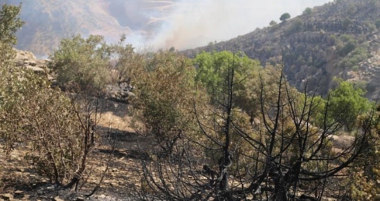 Nuh&rsquo;un çocuklarına selam olsun! | Kaos GL - LGBTİ+ Haber Portalı Haber