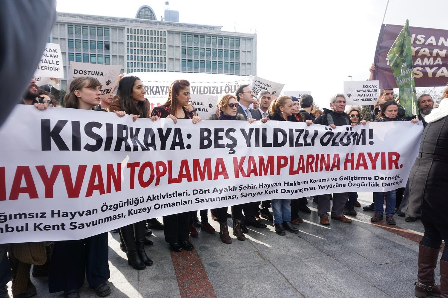 Belediye güvenliği hayvan özgürlüğü aktivistlerini darp etti | Kaos GL - LGBTİ+ Haber Portalı Haber