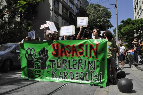 Kozmetik ürünlerde hayvan deneyi yasaklandı Kaos GL - LGBTİ+ Haber Portalı