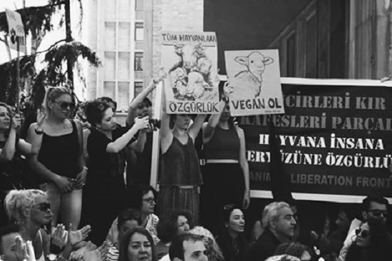 ‘Kafesleri parçala: Vegan ol!’ Kaos GL - LGBTİ+ Haber Portalı