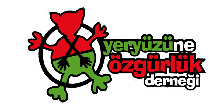 ‘Devlet Toplumsal Mücadeleyi Genişletmeye Çalışanlara Ayar Vermek İstedi!’ Kaos GL - LGBTİ+ Haber Portalı