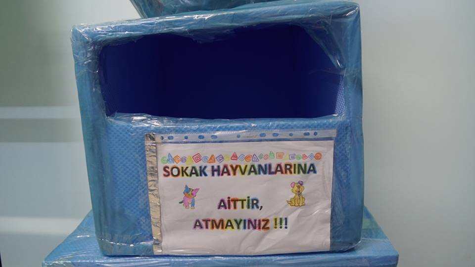 Anadolu LGBTİ+ hayvanlar için ev yaptı | Kaos GL - LGBTİ+ Haber Portalı Haber