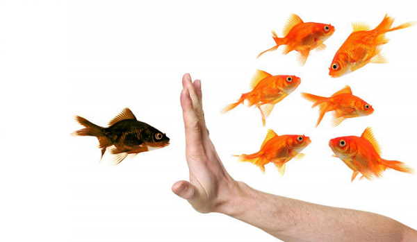 Ayrımcılığa karşı hakların korunduğu alanlar neler? | Kaos GL - LGBTİ+ Haber Portalı Haber