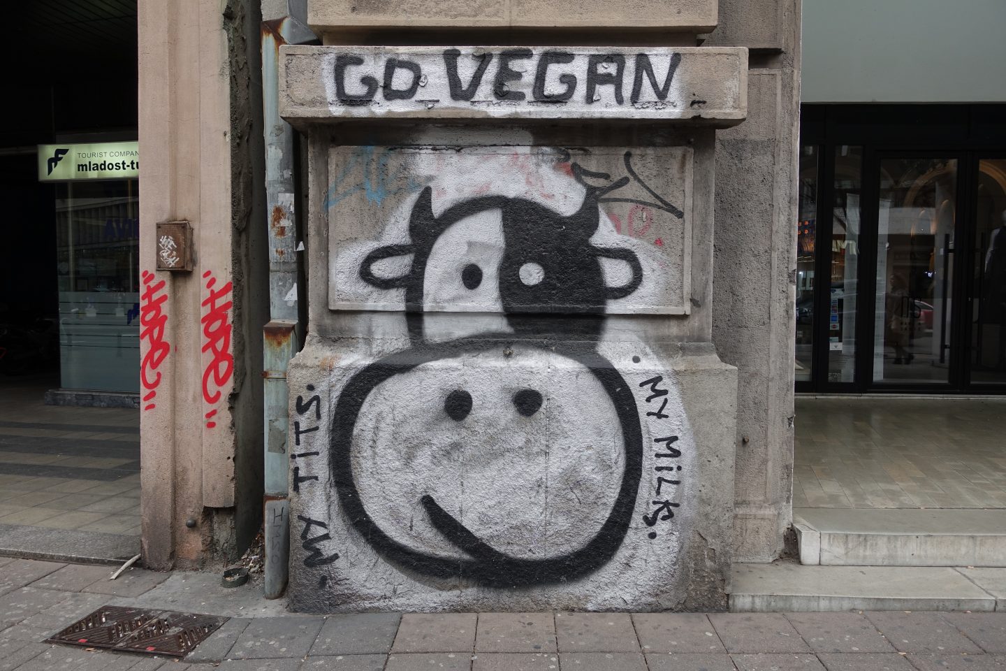 Veganlık, İnsan Harici Hayvanların Hakkını Savunmaktır | Kaos GL - LGBTİ+ Haber Portalı Haber