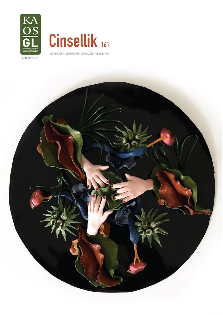 Kaos GL “Cinsellik” dosyasıyla çıktı | Kaos GL - LGBTİ+ Haber Portalı Haber