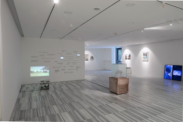 “etten, kemikten” sizi bekliyor | Kaos GL - LGBTİ+ Haber Portalı Haber