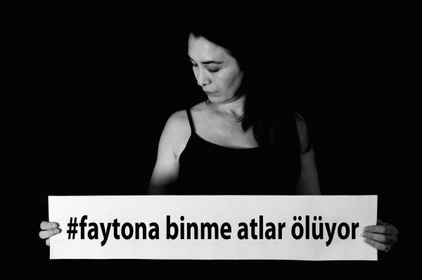 #FaytonaBinme atlar ölüyor! | Kaos GL - LGBTİ+ Haber Portalı Haber