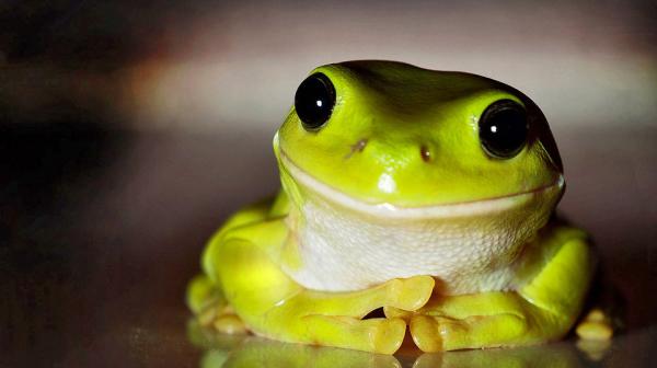 Güzel bir gün’ yazı dizisi başlıyor Kaos GL - LGBTİ+ Haber Portalı