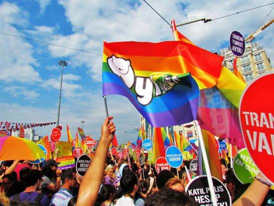 Ayı Sözlük 2 Yaşına Giriyor! | Kaos GL - LGBTİ+ Haber Portalı Haber