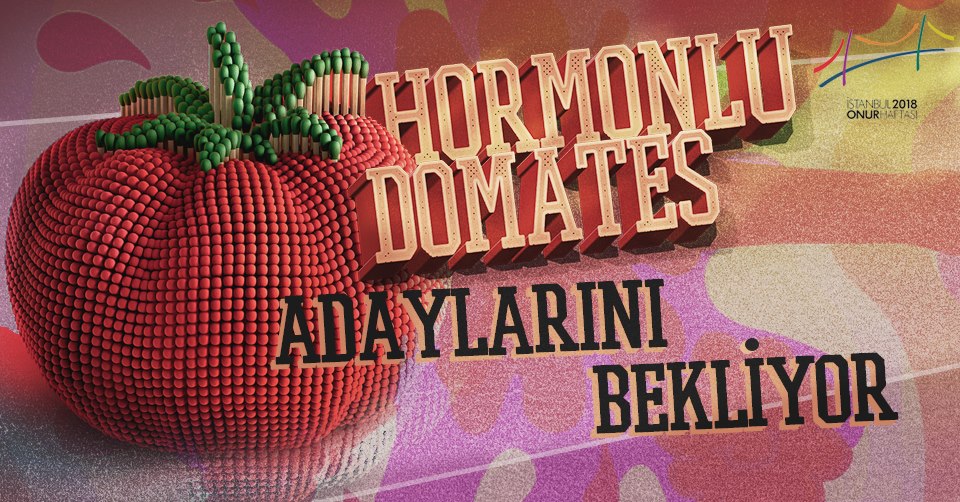 Hormonlu Domates adayını belirle | Kaos GL - LGBTİ+ Haber Portalı Haber