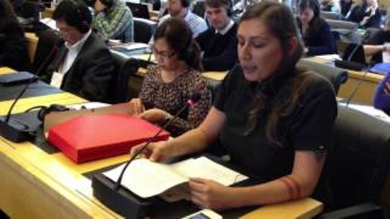 LGBT Örgütlerinin Birleşmiş Milletler Kazanımı Kaos GL - LGBTİ+ Haber Portalı