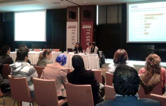 TESEV Anayasaya Dair Tanım ve Beklentiler Araştırması-2012 | Kaos GL - LGBTİ+ Haber Portalı Haber