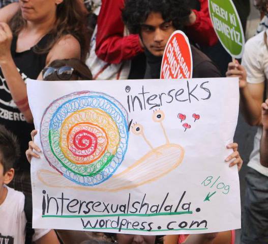 Intersex activism in Turkey Kaos GL - News Portal for LGBTI+