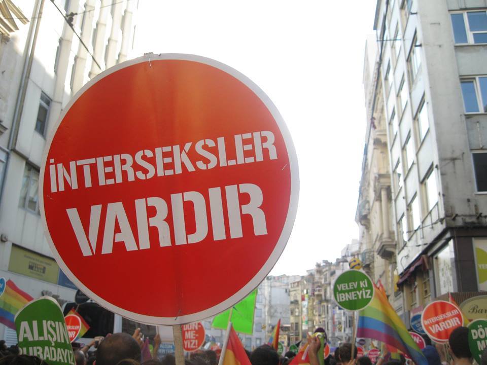 LGBTİ’nin İ’si: İnterseks okuma listesi Kaos GL - LGBTİ+ Haber Portalı