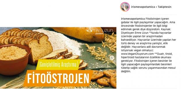 İris’in cinsiyet uyum süreci günlüğüyle tanışın | Kaos GL - LGBTİ+ Haber Portalı Haber