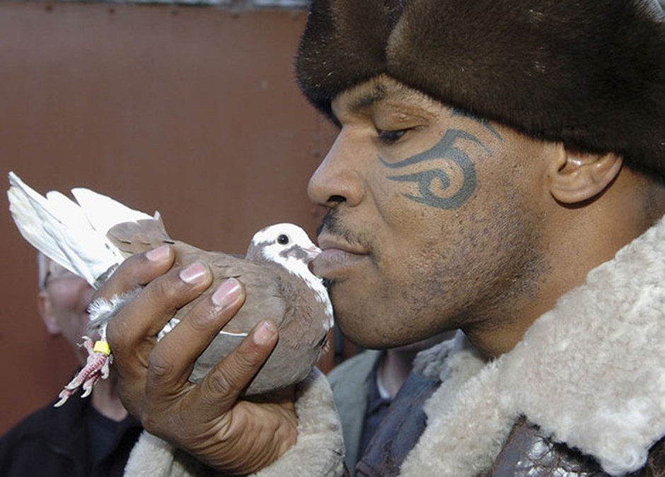 Homofobiye sol kroşe! | Kaos GL - LGBTİ+ Haber Portalı Haber