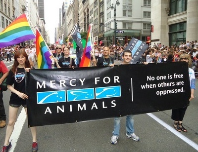 Hem geyim hem vegan, var mı bana yan bakan? | Kaos GL - LGBTİ+ Haber Portalı Haber