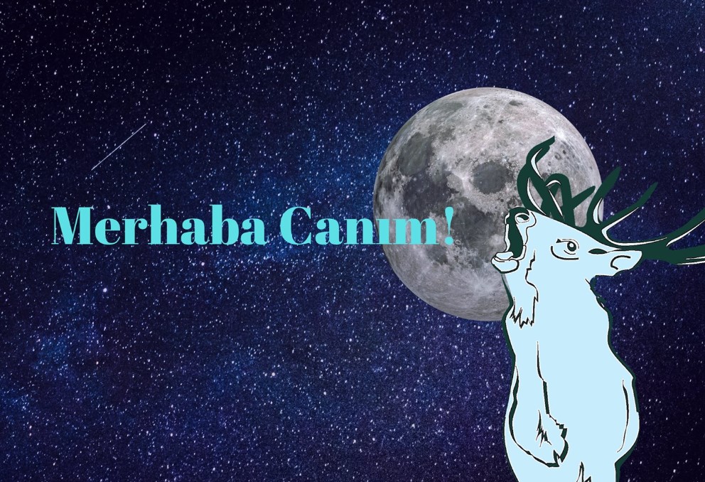 PembeHayat.org’dan son 6 ayda 200 haber Kaos GL - LGBTİ+ Haber Portalı