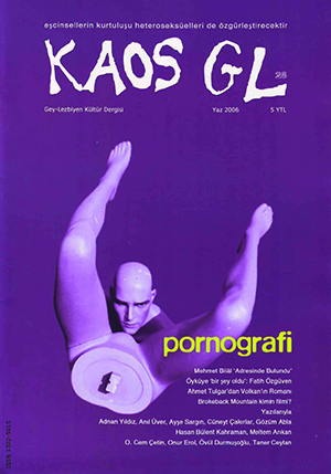 AİHM’in Kaos GL ayrıntılı kararı Türkçe’de Kaos GL - LGBTİ+ Haber Portalı