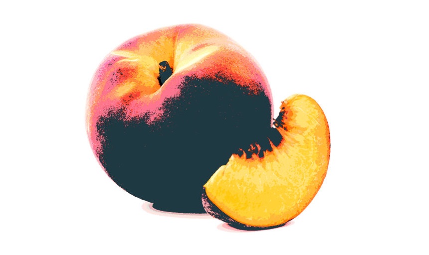 Meyvelerin cebinde, o ağacın altında | Kaos GL - LGBTİ+ Haber Portalı Haber